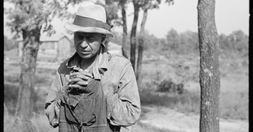 How the Government Helped White Americans Steal Black Farmland