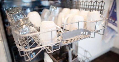 Republicans Think Your Dishwasher Is Too Leftist