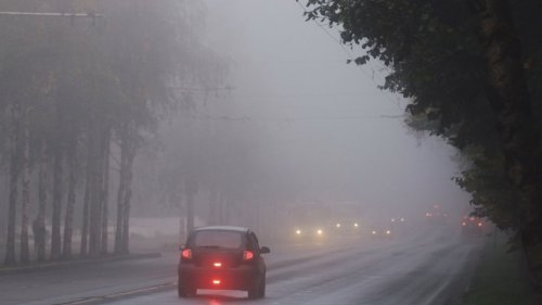 Wetter heute in Nürnberg: DWD-Wetterwarnung! Gefahr wegen Nebel am Mittwoch