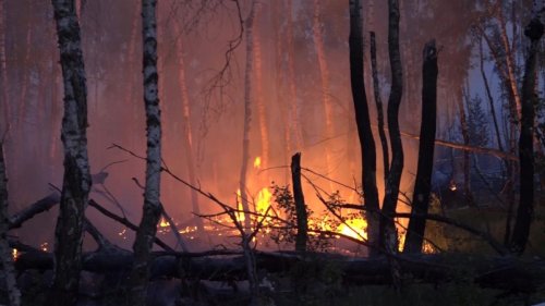 Waldbrände 2023 aktuell im News-Ticker: Einsatzkräfte stellen sich auf langen Waldbrand-Löscheinsatz ein