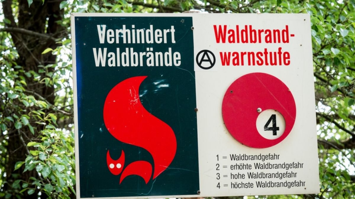 Waldbrandgefahr in SH am 21.03.2025: Die aktuellen Waldbrandstufen für die gefährdeten Wälder im Überblick