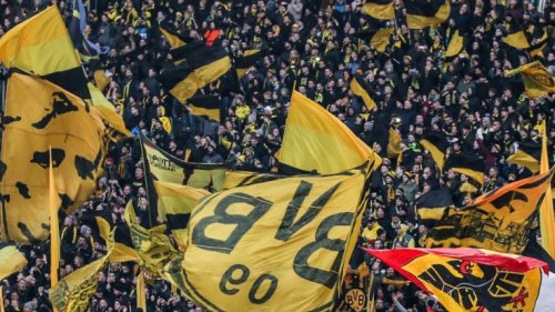 Dortmund II vs. Osnabrück im TV und Stream: VfL Osnabrück reist zu Borussia Dortmund II