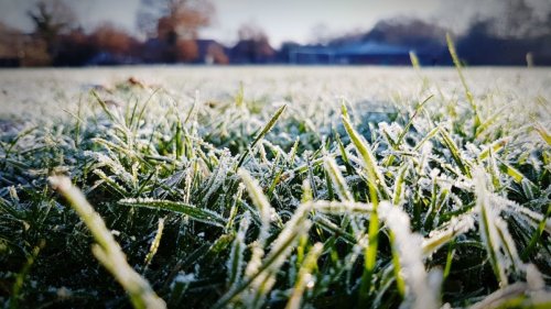 Gera Wetter heute: Wetterdienst warnt vor Frost