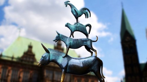 Bremen: Füllkrug vor Comeback: "Bin sehr selbstbewusst"