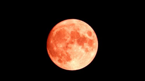 Vollmond am 04.06.2023: Leuchtender Erdbeermond im Juni! Das steckt dahinter