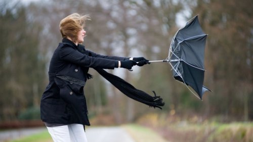 Wetter in Pirmasens heute: Wetterdienst warnt vor Windböen