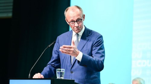 Umfrage-Erfolg für Friedrich Merz: Union legt wieder zu - doch es gibt ein Problem