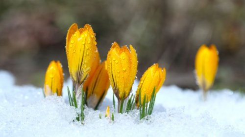 Unwetter im März 2023: Winter-Schock vor Ostern! HIER drohen 30 Zentimeter Neuschnee