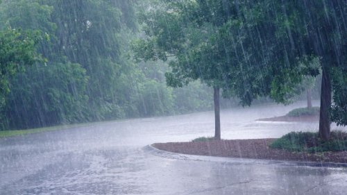 Wetter Willich (06.05.23 bis 12.05.23): Regentage! So wird das Wetter in den nächsten 7 Tagen