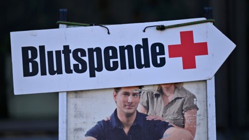 Blutspendetermine Hessen im April: Blutbestände der Blutbanken füllen sich