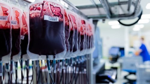 Blutspendetermine Niedersachsen im März: Blutreserven steigen. Ihre Unterstützung ist gefragt!