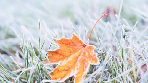 Wetter in München heute: Achtung wegen Frost! DWD gibt Wetterwarnung für München aus