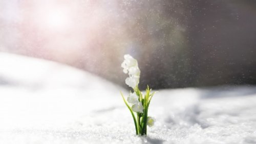 Wetter in Kleve heute: Wetterdienst warnt vor leichtem Schneefall