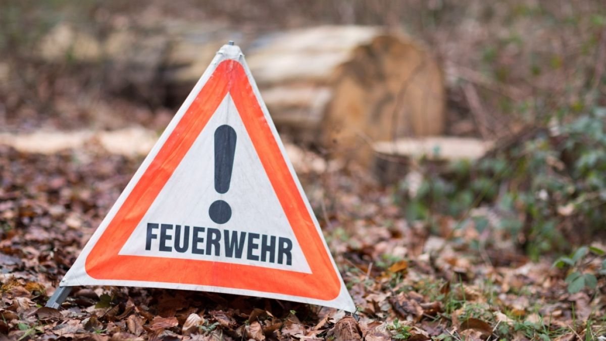 Waldbrandgefahr in Bayern am 23.03.2025: Großteil der Waldflächen in Bayern betroffen! Wetterdienst warnt vor Unachtsamkeit