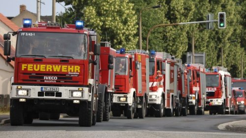 Waldbrände aktuell im News-Ticker: Entspannung im Waldbrandgebiet im Süden Brandenburgs