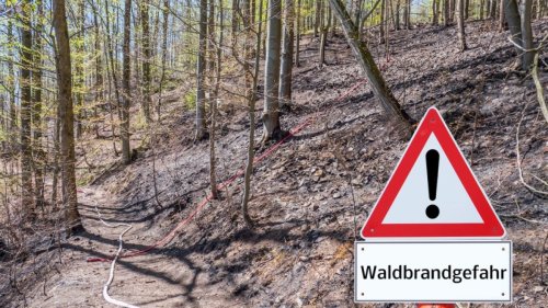 Waldbrandgefahr in SH am 29.09.2023: Vorsicht im Wald! Erhöhtes Waldbrandrisiko