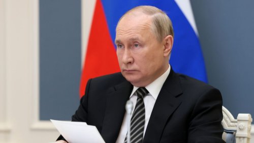 Wladimir Putin: Russland vom "Aussterben" bedroht! Kreml startet neues Geburtenprogramm