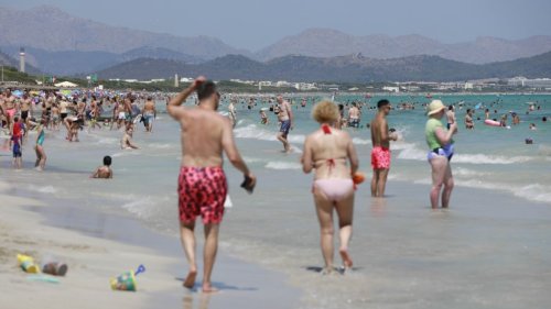 Wasserverschmutzung vor Mallorca: Fäkalkeime entdeckt! Behörde warnt vor dem Baden an diesen Malle-Stränden