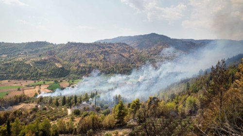 Norwegen: Aktuelle Wetterwarnung für die Region Küstengebiete von Vestlandet südlich von Stad vor Waldbränden am Dienstag