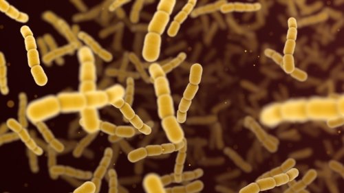 Angst vor Killer-Bakterien: 9 tote Kinder in Großbritannien! Ausbreitung auch in Deutschland?