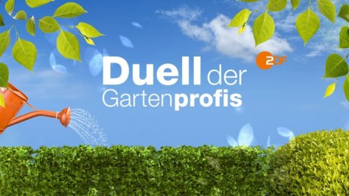 "Duell der Gartenprofis" bei ZDFneo im Live-Stream und TV: So sehen Sie die Gartenshow