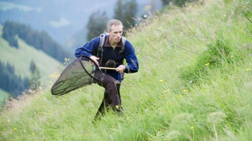 "Wilde Schweiz" bei 3sat im Stream und TV: Folge 2 der Naturdoku