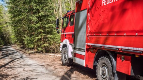 Waldbrandgefahr in Hessen am 15.03.2025: DIESE Wälder sind aktuell besonders gefährdet
