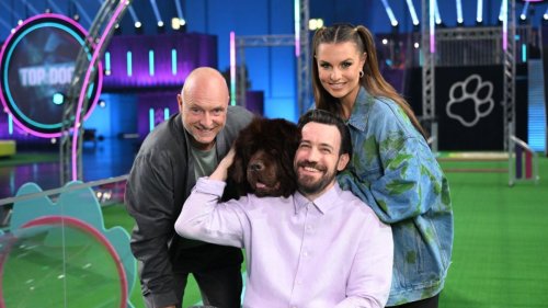 "Top Dog Germany - Der beste Hund Deutschlands" bei RTL im Livestream und TV: Folge 3 aus der 2. Staffel des Wettbewerbs