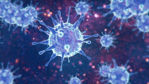 Coronavirus-Studie: "Aids aus der Luft!" Zerstören Mehrfach-Infektionen das Immunsystem?