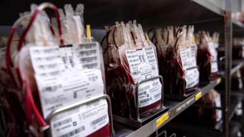 Blutspendetermine Schwyz im April: 0- bei kritischer Füllmenge Aktuelle Spendetermine in Schwyz, Galgenen, Goldau