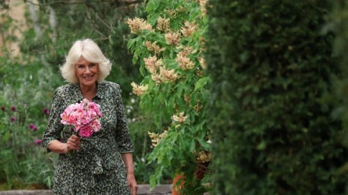 Königin Camilla: Ein neuer Wegbegleiter lässt ihr Herz höher schlagen