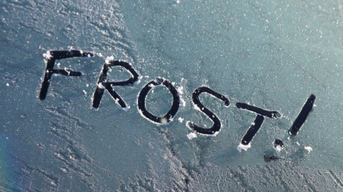Wetter heute im Saalekreis: DWD-Wetterwarnung vor Frost