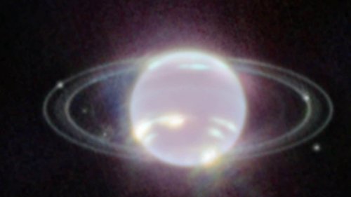 Neptune and its Rings Captured in All Their Glory by James Webb Telescope after 33 Years