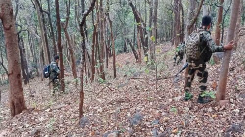 Encounter Breaks Out In Jammu And Kashmir's Kathua After Security Forces Intercept Terrorists