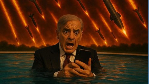 Pakistan’s Lies, Damned Lies & Their PM Shehbaz Sharif In The Pool