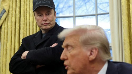 Elon Musk Privately Asked Donald Trump To Scrap Tariffs: Report