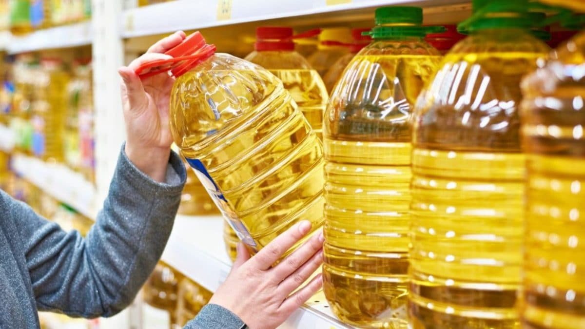 Can Eating Less Oil Save India’s Forex? PM Modi’s Advice Explained