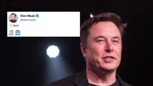 Elon Musk's Cryptic Tweet Could Be A Warning For Bots | Flipboard