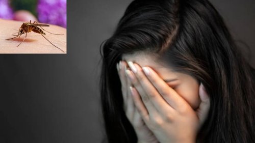 Delhi Girl 'Haunted' By Mosquitoes Due to 'Toxic' Boyfriend is The New-age Rant No One Saw Coming