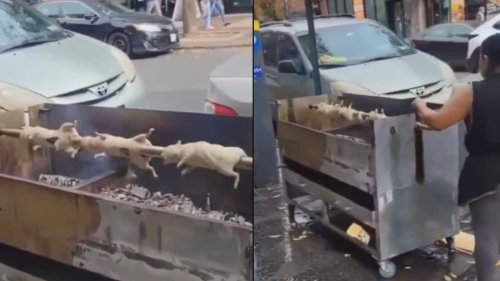 Viral Video of Woman Grilling Rodents on a Public Sidewalk in NYC Leaves the Internet Divided