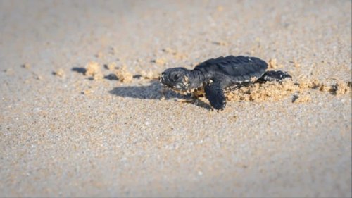 6 Lesser-Known Beaches Near Mumbai Perfect For Your Next Getaway