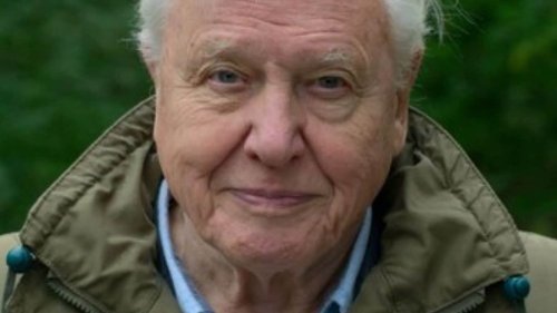 BBC Wishes David Attenborough on 96th Birthday with 96-Second Clip on his Life | WATCH