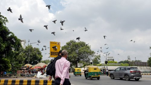 IMD Weather Update: Temperature Fluctuations Across India, Hot & Humid Conditions In Coastal Regions