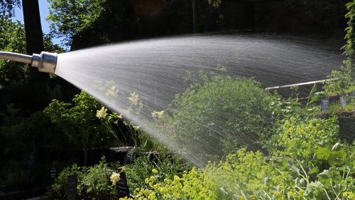 Niedersachsen: Wasser wird immer knapper – düstere Prognose