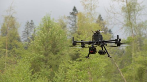 Harz: Drohnen fliegen über Wald – DAS ist ihre ungewöhnliche Aufgabe