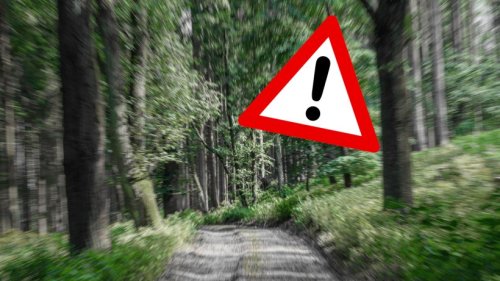 Kreis Gifhorn: Schock auf Waldweg – Polizei mit dringlicher Warnung