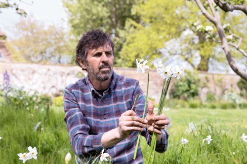 Gardeners’ World presenter Adam Frost shares 5 top spring bulbs