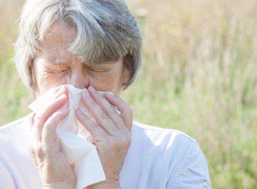 Do I have a cold or hay fever? An expert explains how to tell the difference