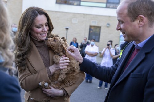 Kate jokes her dog will be ‘upset’ after she enjoys cuddle with therapy pup