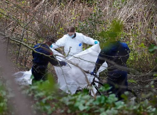 Children playing in area of torso discovery ‘may hold crucial information’